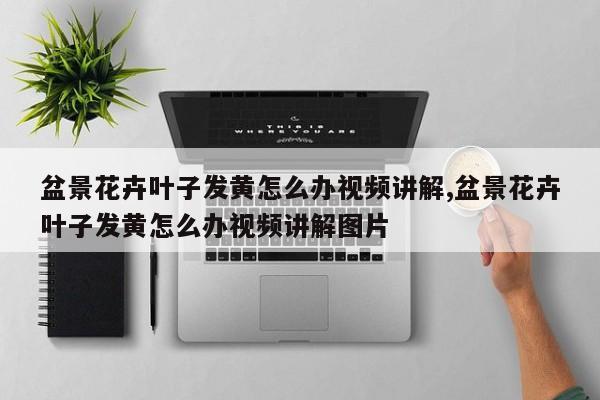 盆景花卉叶子发黄怎么办视频讲解,盆景花卉叶子发黄怎么办视频讲解图片