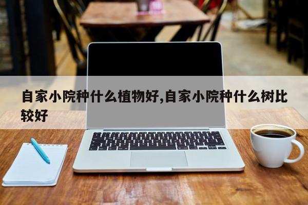 自家小院种什么植物好,自家小院种什么树比较好