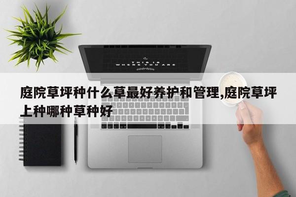 庭院草坪种什么草最好养护和管理,庭院草坪上种哪种草种好