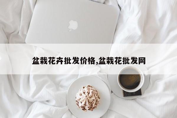 盆栽花卉批发价格,盆栽花批发网