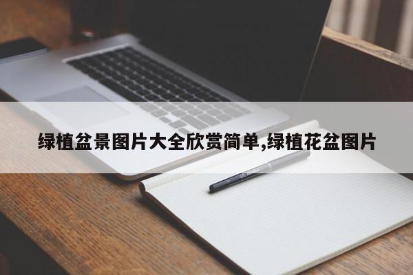 绿植盆景图片大全欣赏简单,绿植花盆图片