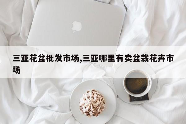 三亚花盆批发市场,三亚哪里有卖盆栽花卉市场